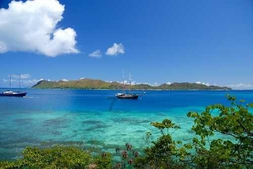 拯救精灵的土地8