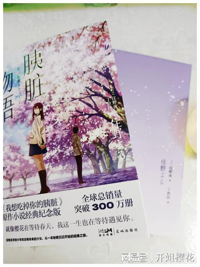 “世界那么大,我想去看看”因辞职走红的女教师,现在怎么样了?